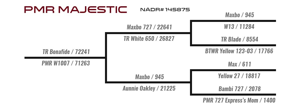 Majestic Pedigree